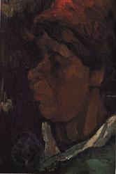 Vincent Van Gogh Head of a Dutch Peasant Spain oil painting art